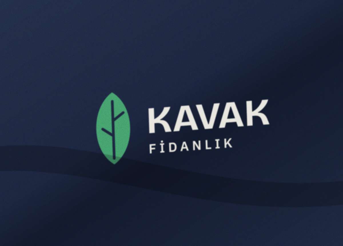 Lacivert tişörtün üstündeki baskı: fotoğraf